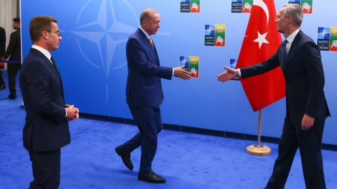 ft-turkler-nasil-guc-kullanacaklarini-biliyor-ve-kayip-vermekten-korkmuyorlar-avrupanin-turk-ordusuna-ihtiyaci-2fiJETGZ.jpg